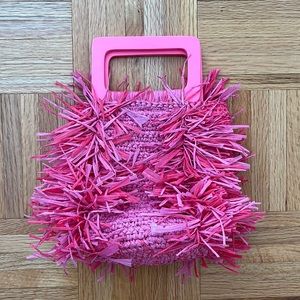 NWT J.Crew Hot Pink Woven Mini Bag with Acrylic Handle